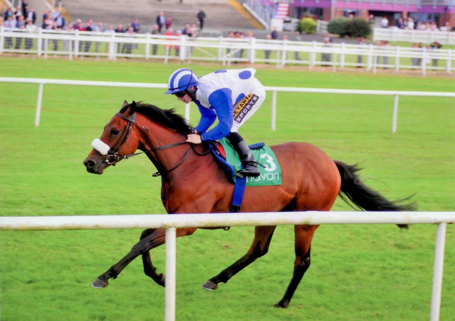 VALE DO SOL makes it a double for Ger and Colin and Navan on July 10th 2015